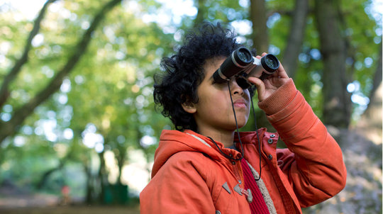 Child in woods looking through binoculars