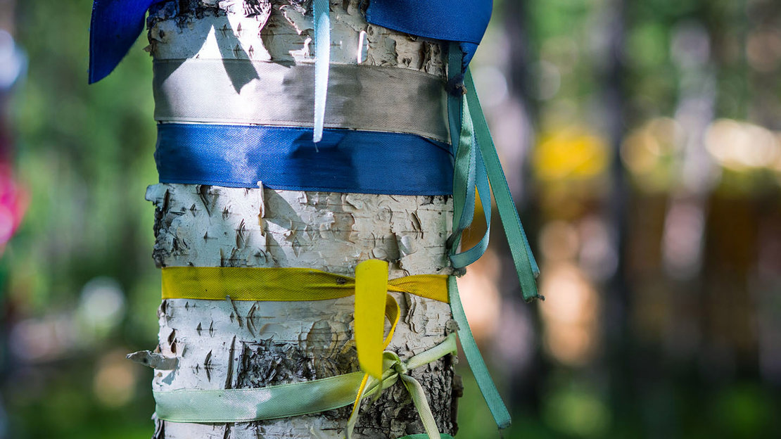 Blue and yellow ribbons wrapped around a birch tree trunk