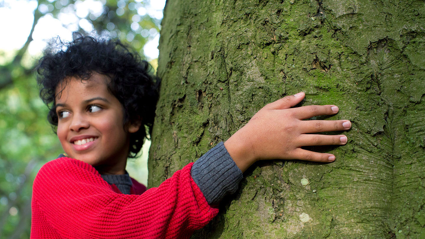 Tree Baks Tree Bark Crafts: Bark Rubbings and More - Woodland Trust