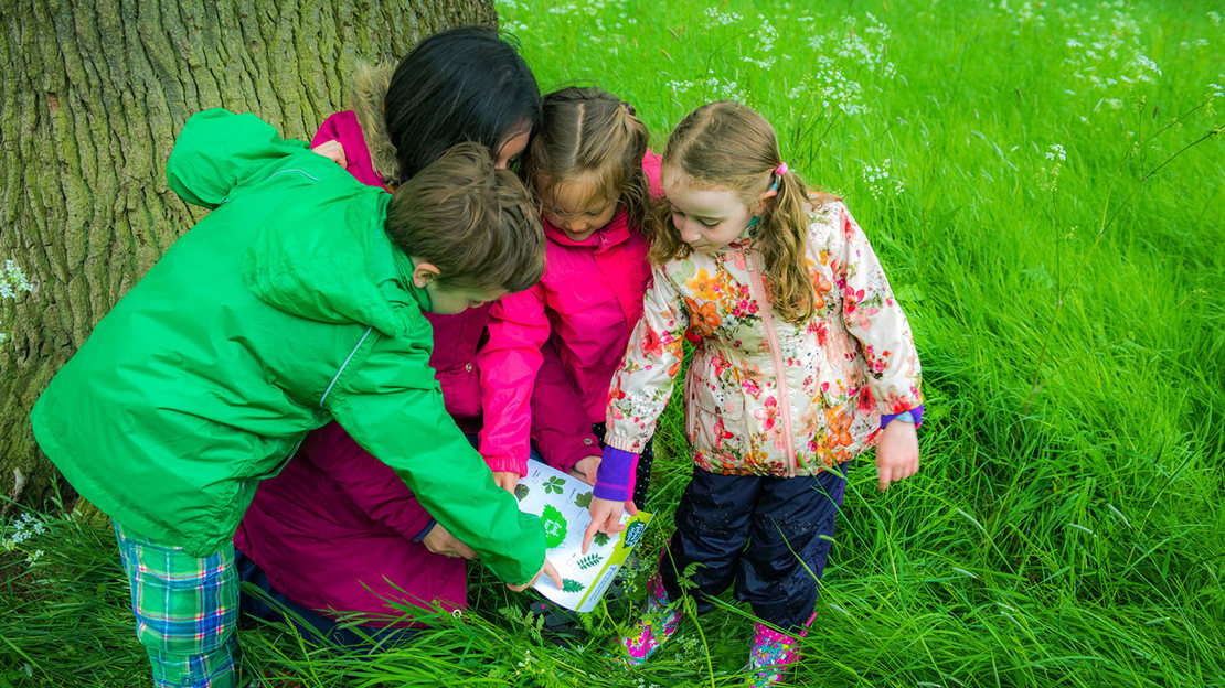 Outdoor Learning Resources For Schools - Woodland Trust