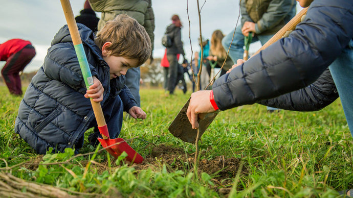 Boy planting a tree at Heartwood Forest