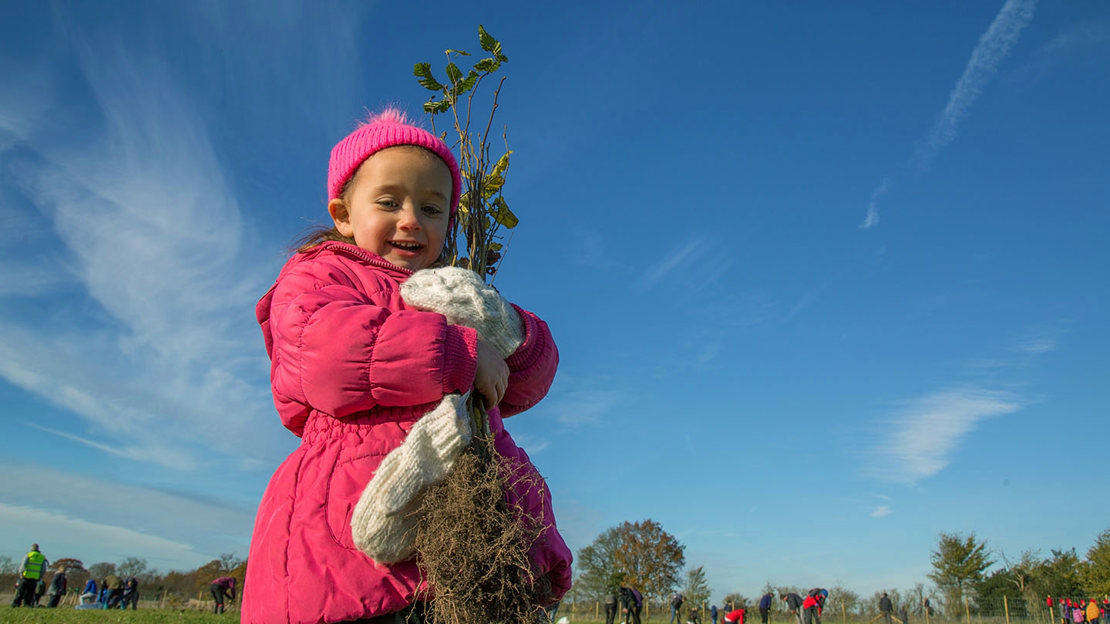 Little girl holding an armful of saplings