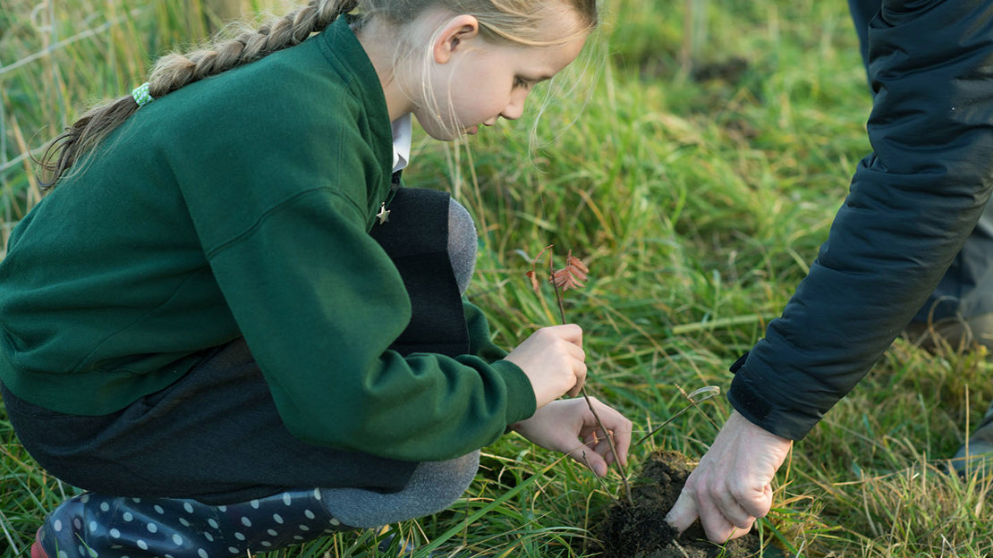 Schoolgirl planting a tree