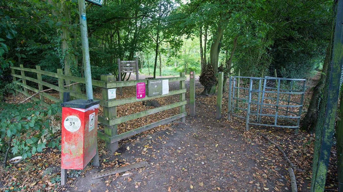 Entrance to woodland, Philipshill Wood