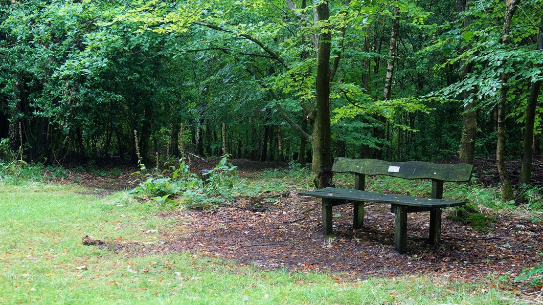 Dedicated bench, Philipshill Wood