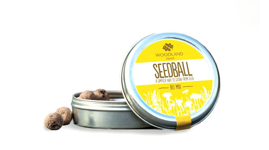 Seedball mix tin