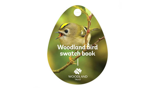 Woodland birds swatch book cover