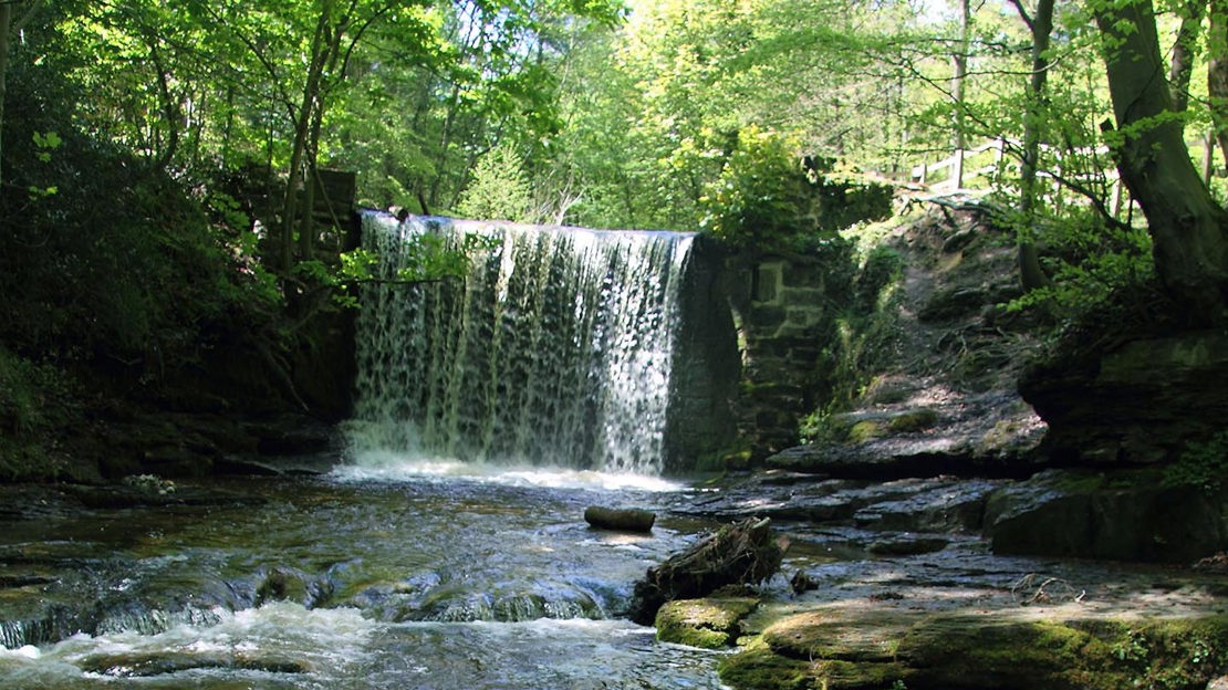 Weir, Plas Power Woods