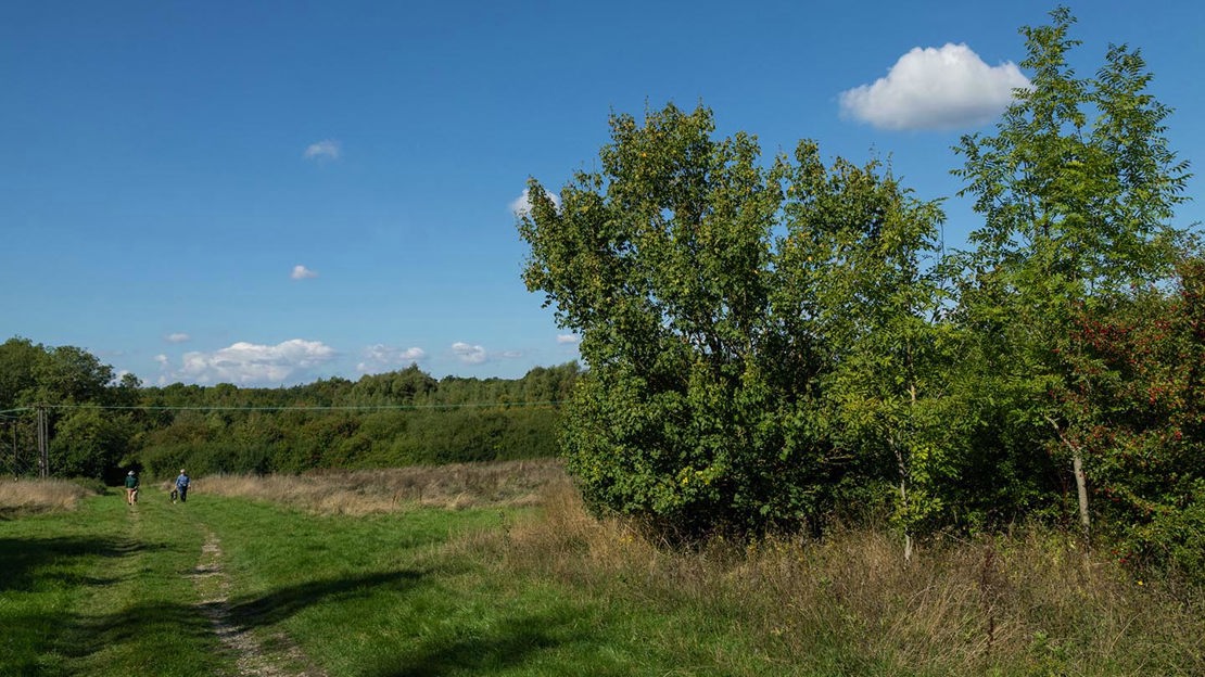 Dog walkers, Pound Farm