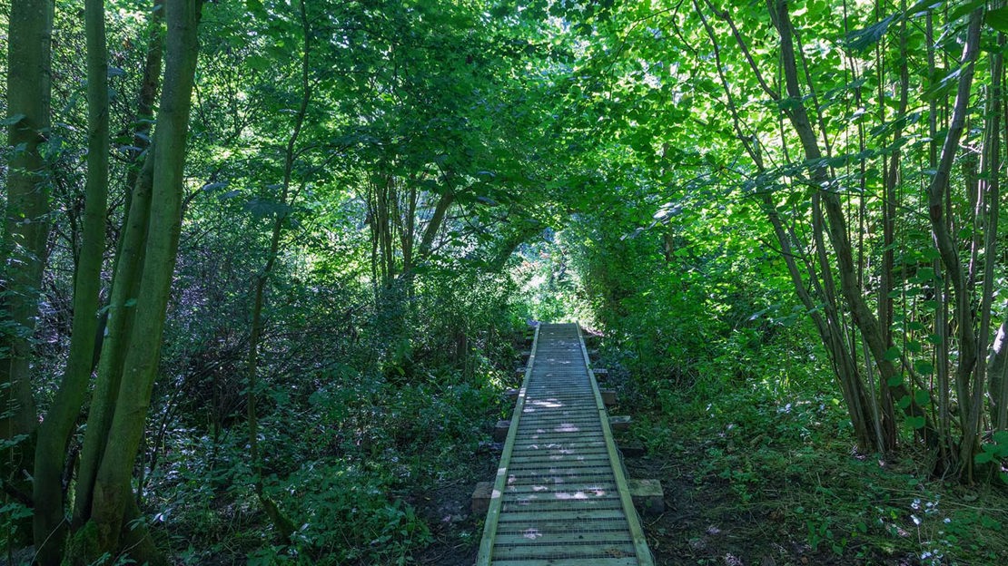 Boardwalk, Pound Farm