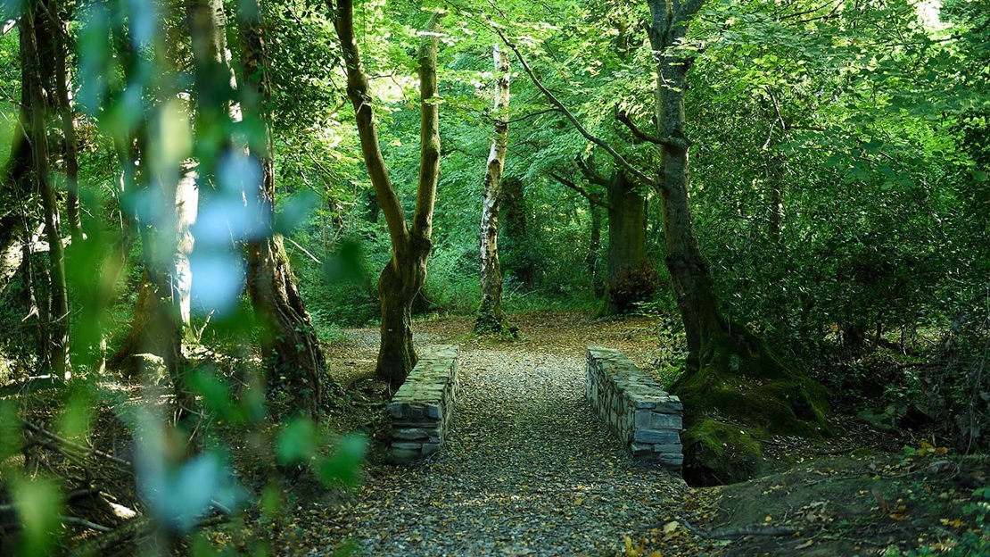 Leaf-strewn stone bridge over stream, Prehen Wood