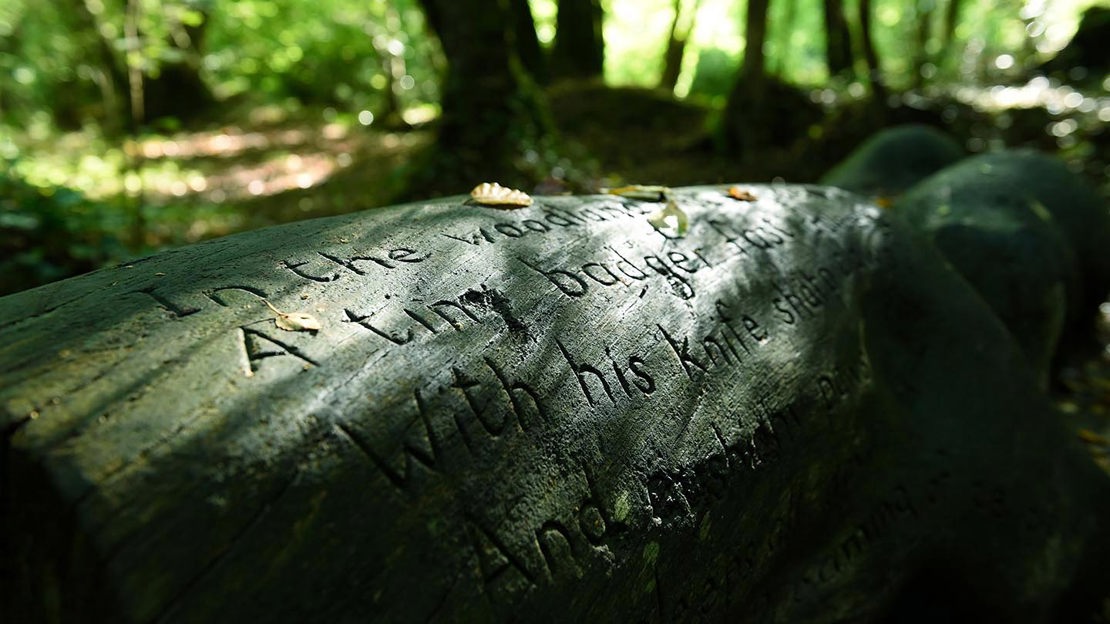 Poem carved into fallen log, Prehen Wood