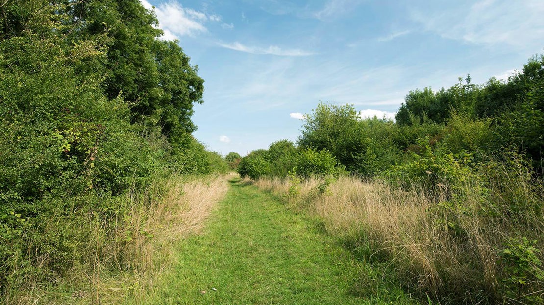 Path along woodland, Purton
