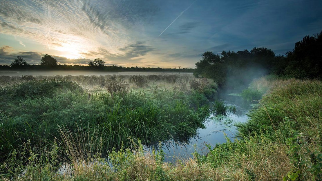 Mist over stream, Purton
