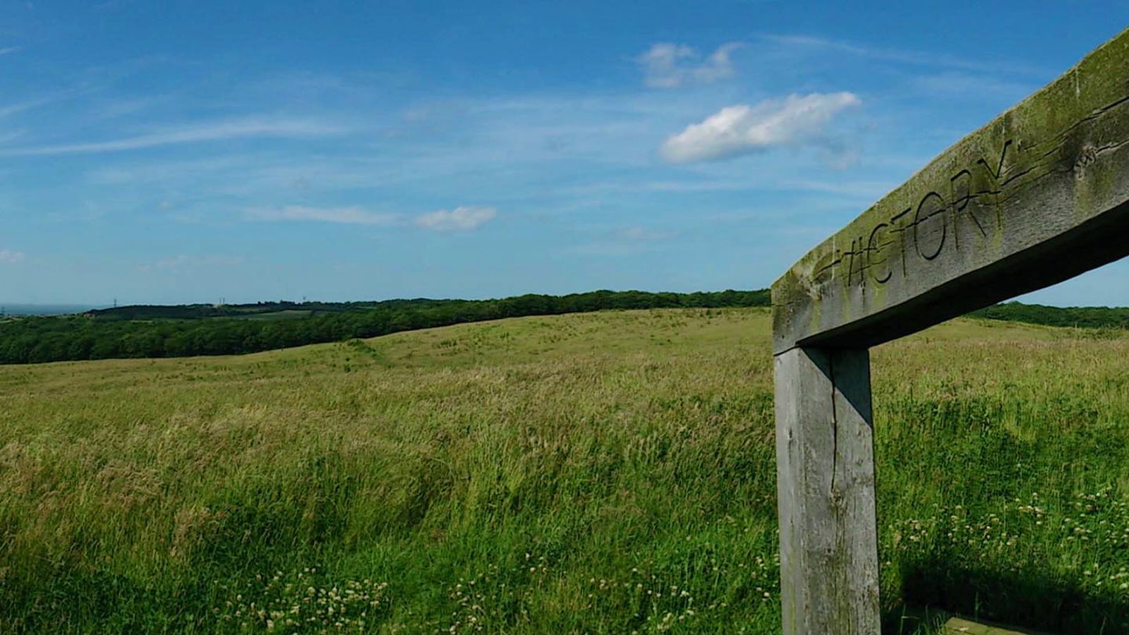 Victory Wood, from Woodland Trust