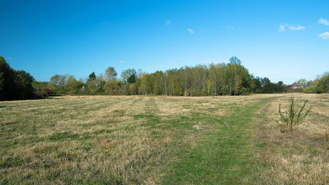 Grass path towards Warneage Wood