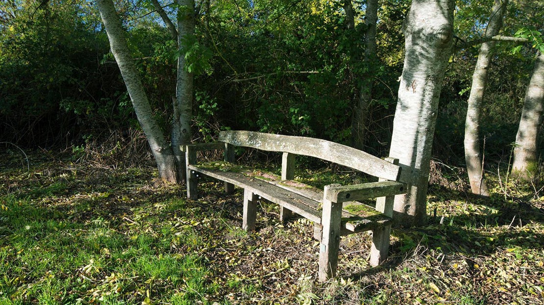 Wooden bench, Warneage Wood