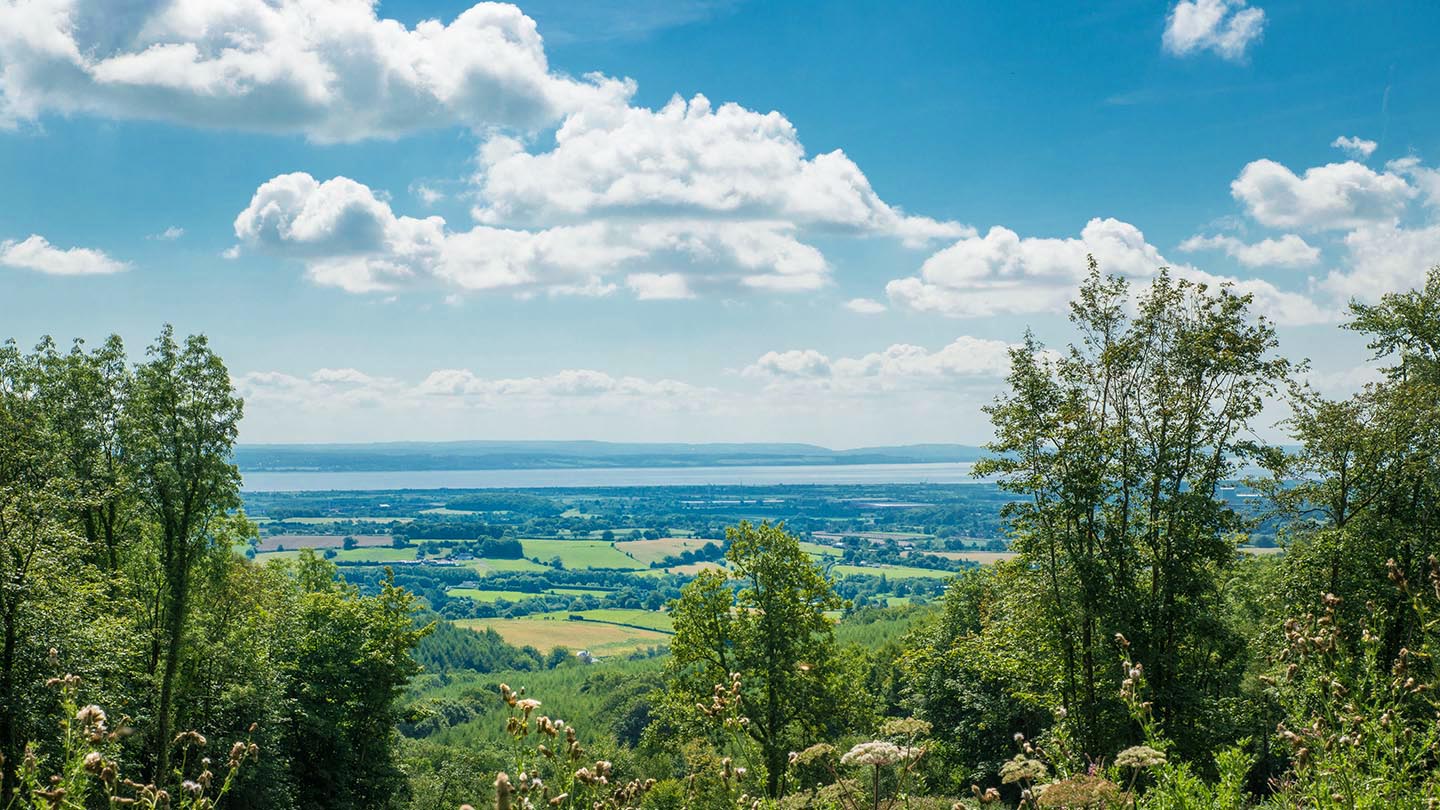Wentwood Visiting Woods Woodland Trust