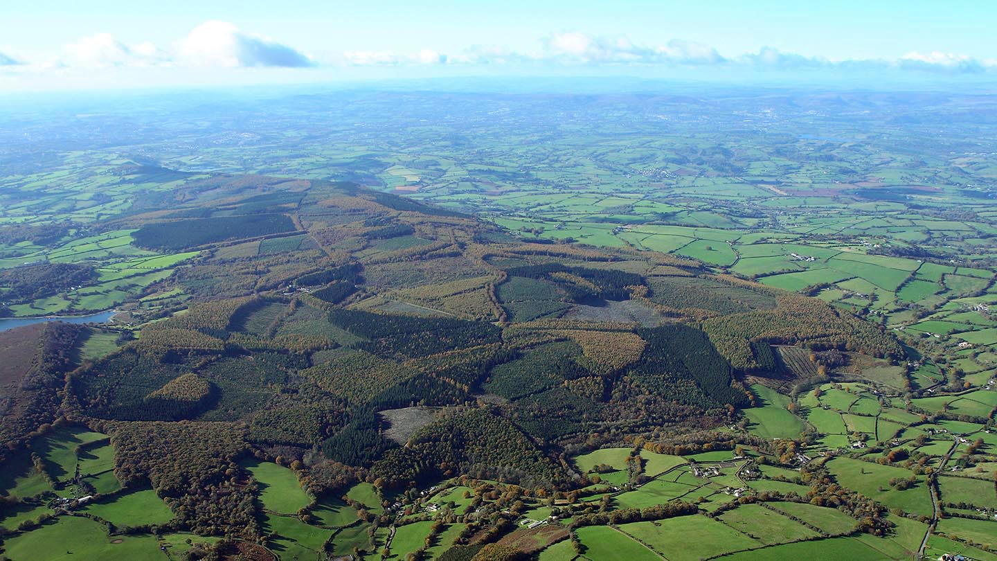 Wentwood Visiting Woods Woodland Trust