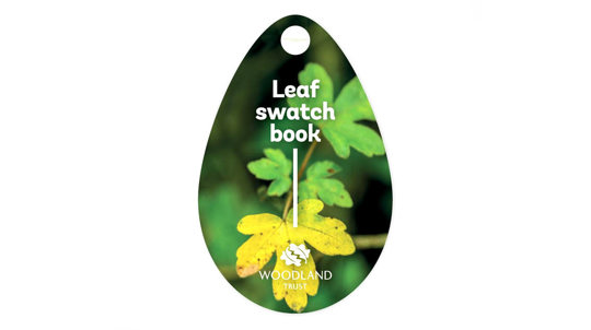 Leaf swatch book cover