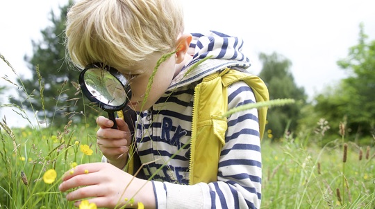 Young blonde boy looking at plants through a magnifying glass