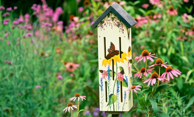 How to Make a Butterfly House: Easy Guide - Woodland Trust