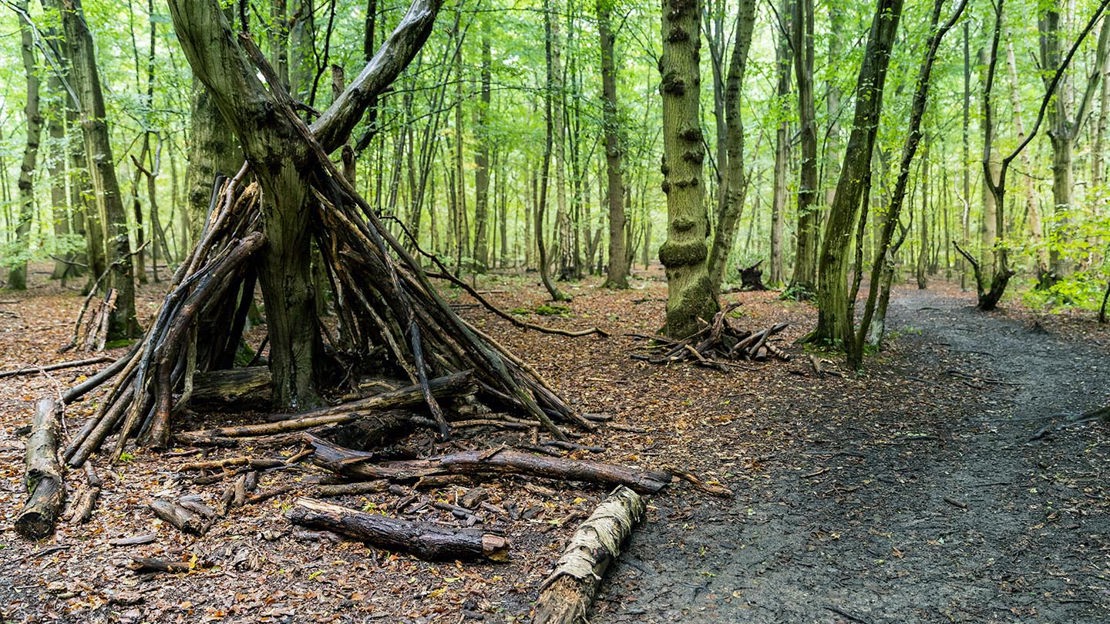 Teepee made from logs, Wormley Wood & Nut Wood