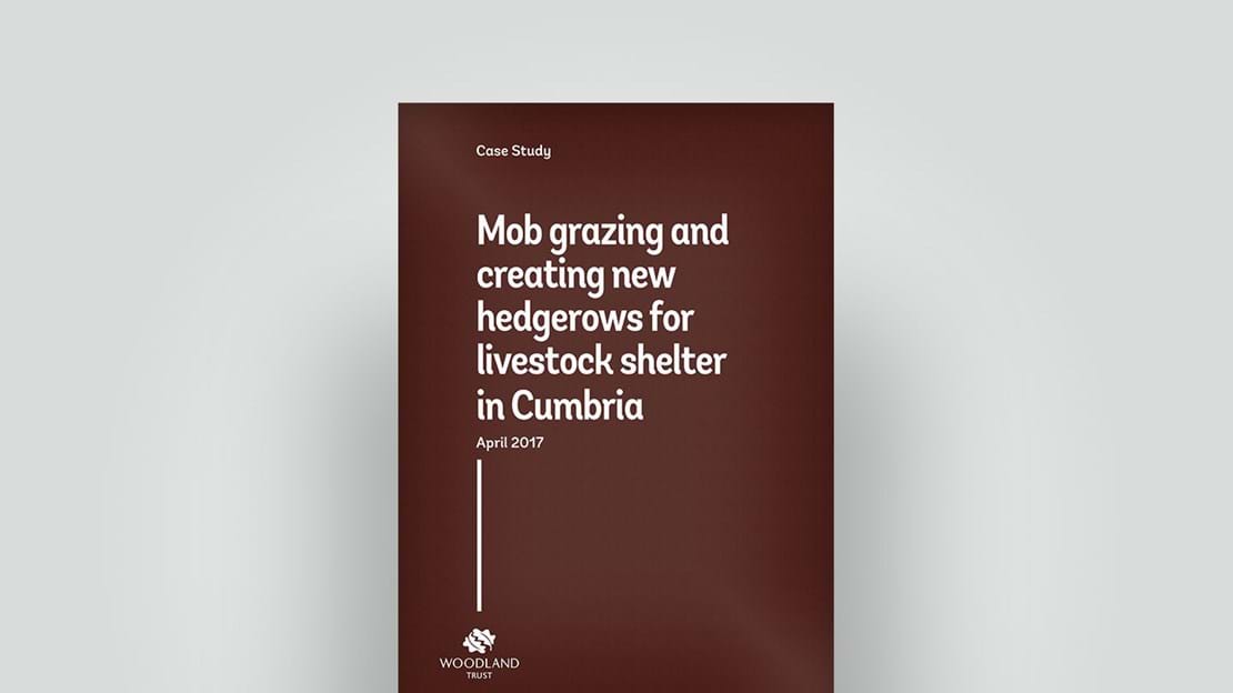 Grazing and hedgerow for livestock case study, April 2017