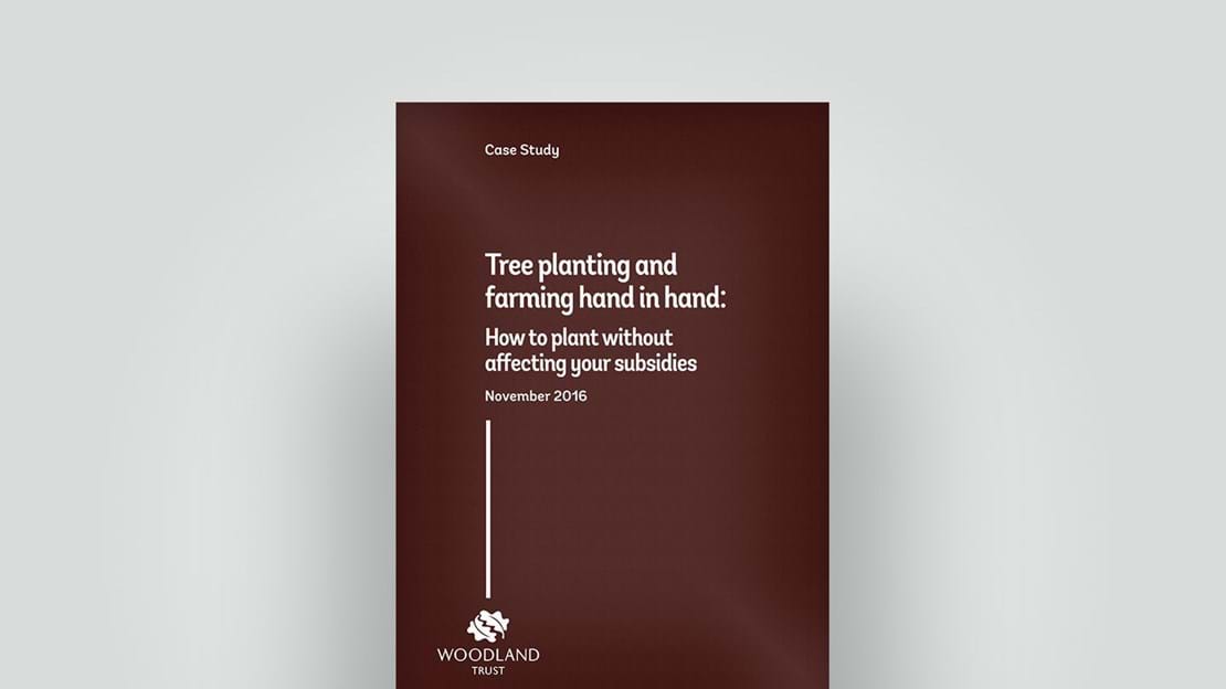 2016 case study on tree planting and farming