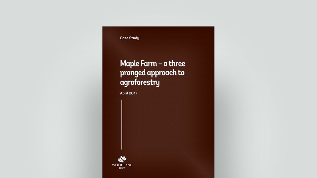 Agroforestry for timber products and nuts, April 2017 case study Agroforestry for timber products and nuts, April 2017 case study