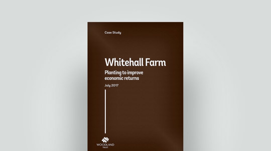 2017 case study on planting for best commercial returns