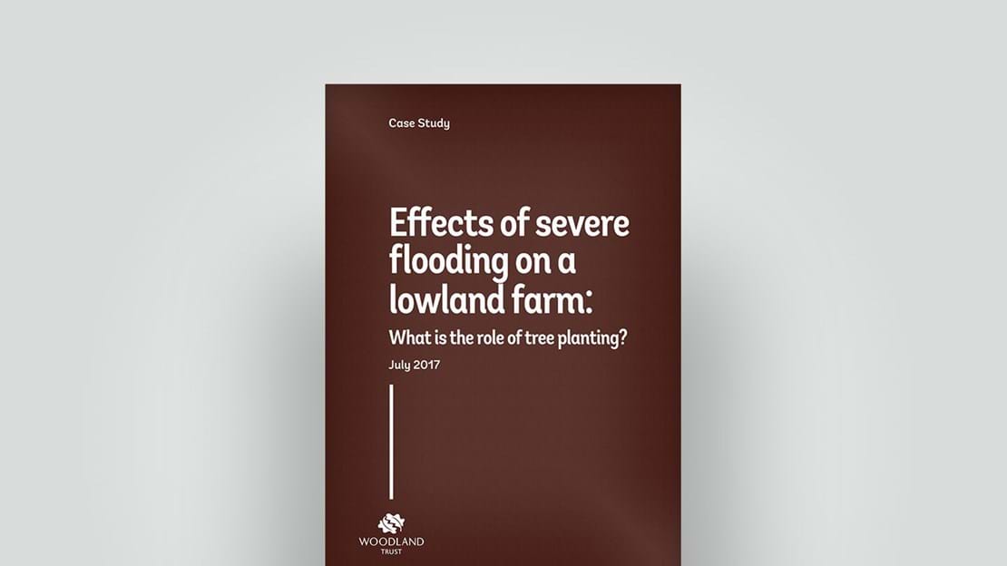 Effects of flooding on lowland farm 2017 case study