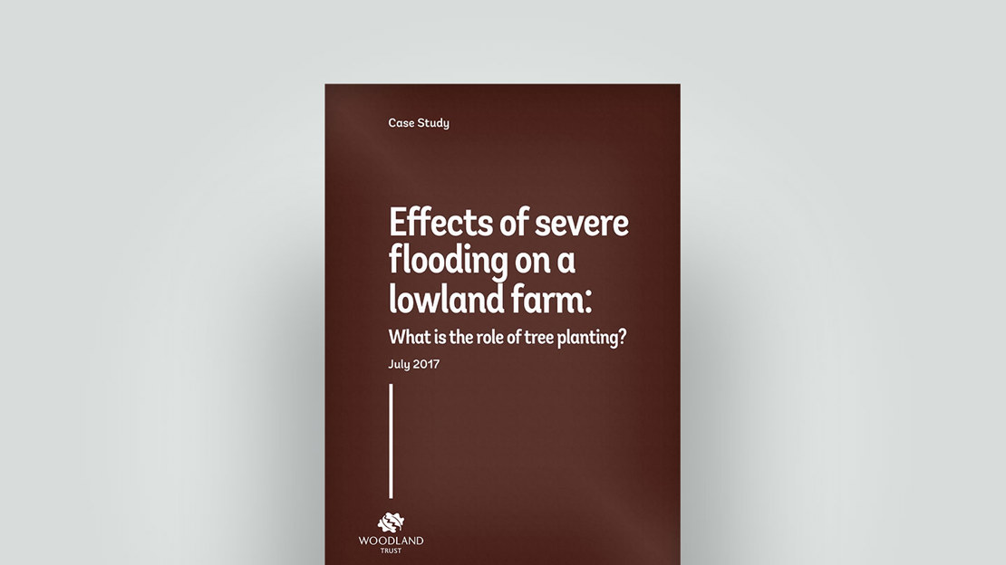 Effects of flooding on lowland farm 2017 case study