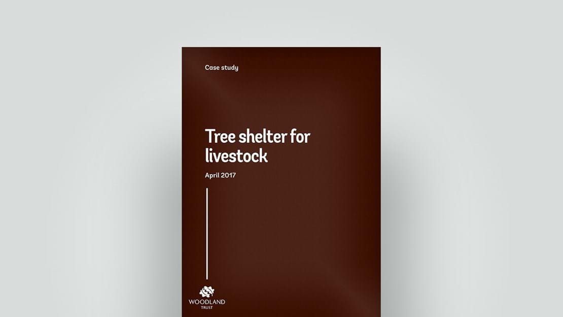 Tree shelter for livestock 2017 case study front cover, April 2017