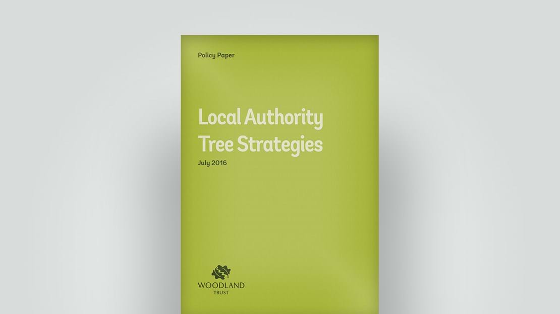 2016 policy paper on local authority tree strategies