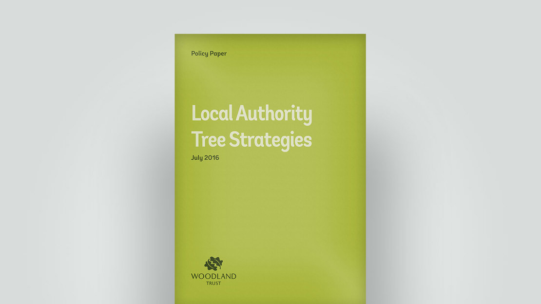 2016 policy paper on local authority tree strategies