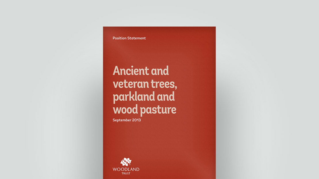 Ancient trees position statement, September 2013