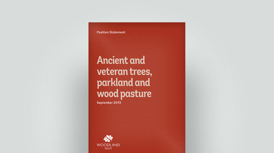 Ancient trees position statement, September 2013