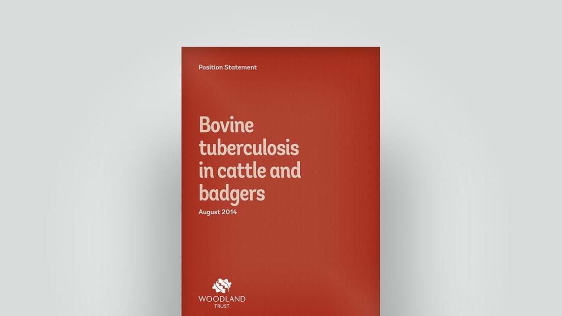 Bovine tuberculosis in cattle and badgers, August 2014 position statement