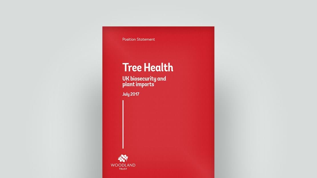 Tree health statement, July 2017