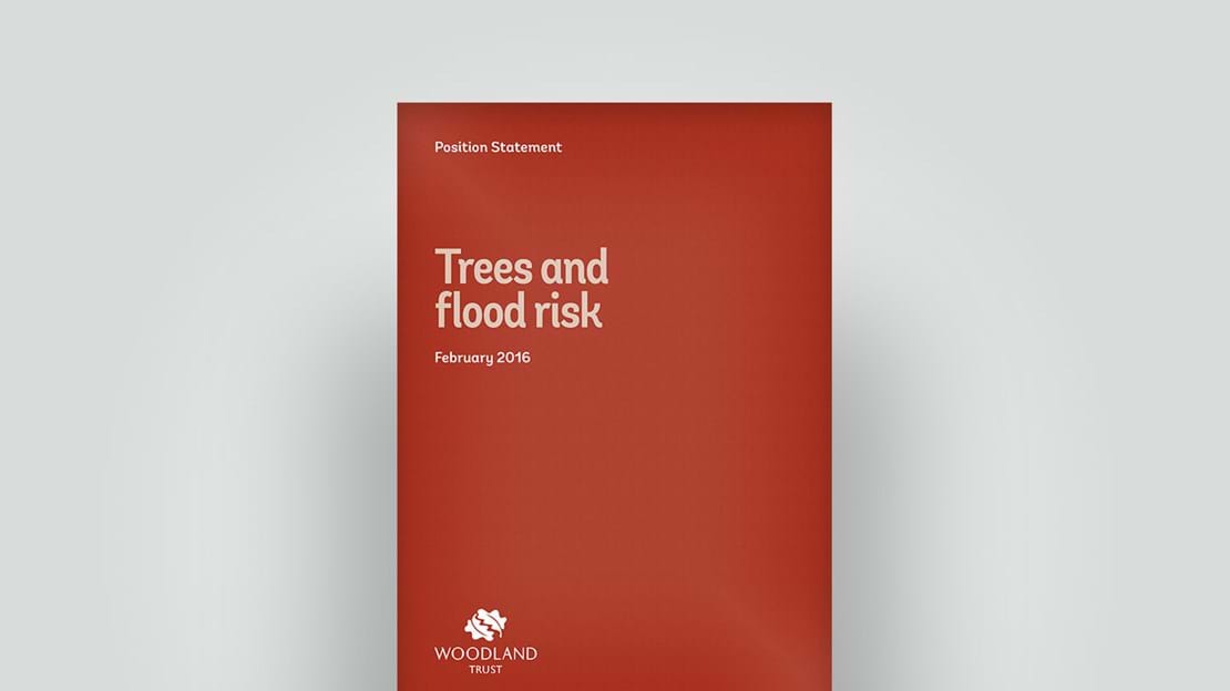 Trees and flood risk position statement