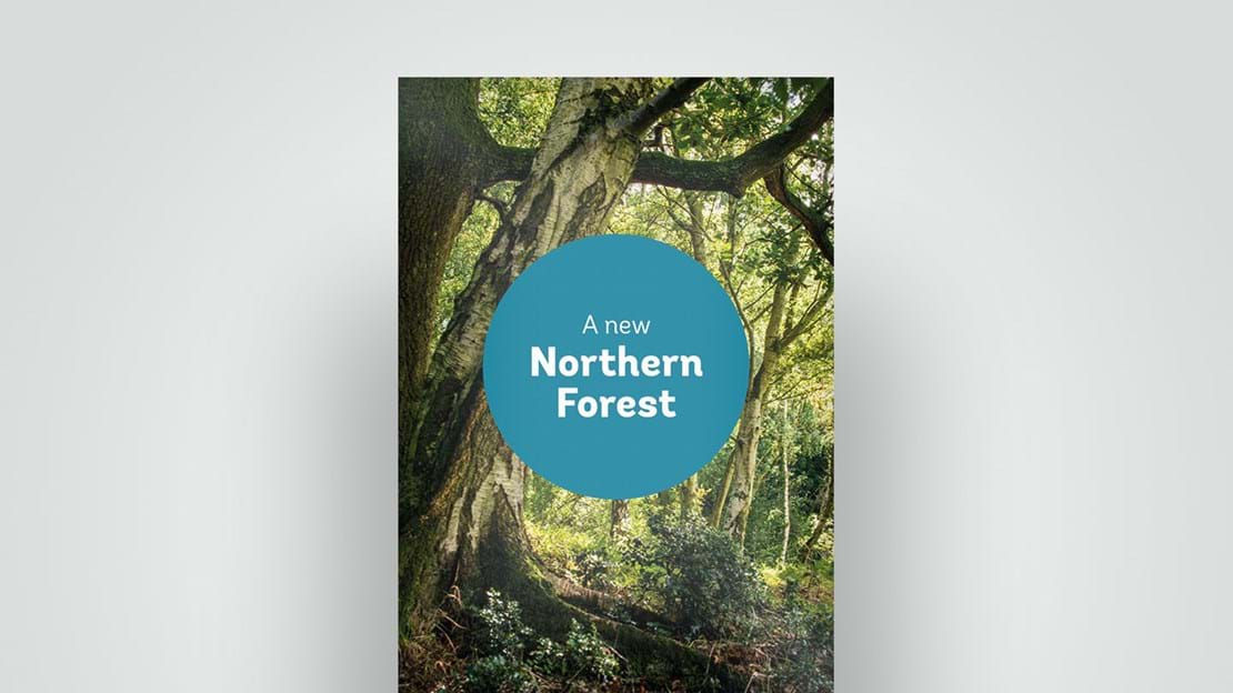 Northern Forest document cover, 2018