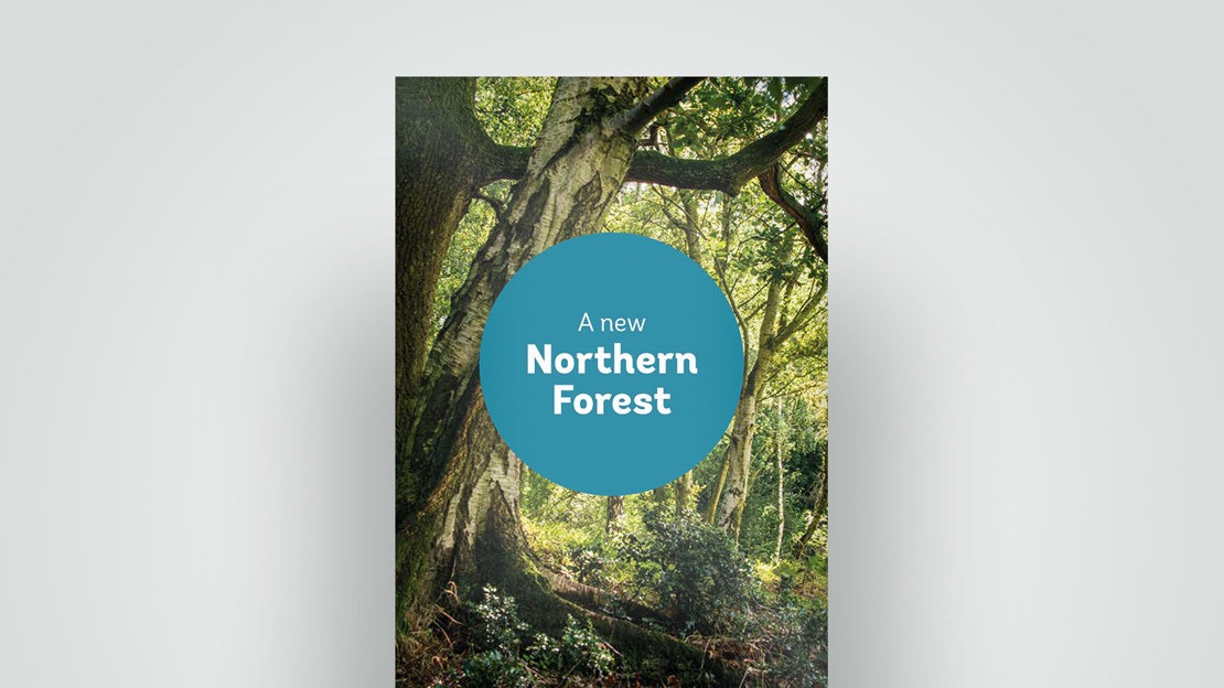 Northern Forest document cover, 2018 Northern Forest document cover, 2018