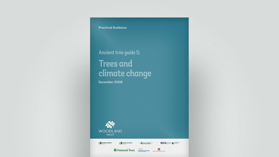 Ancient trees and climate change guide, December 2008