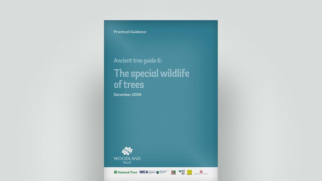 Wildlife of ancient trees, December 2009 guide
