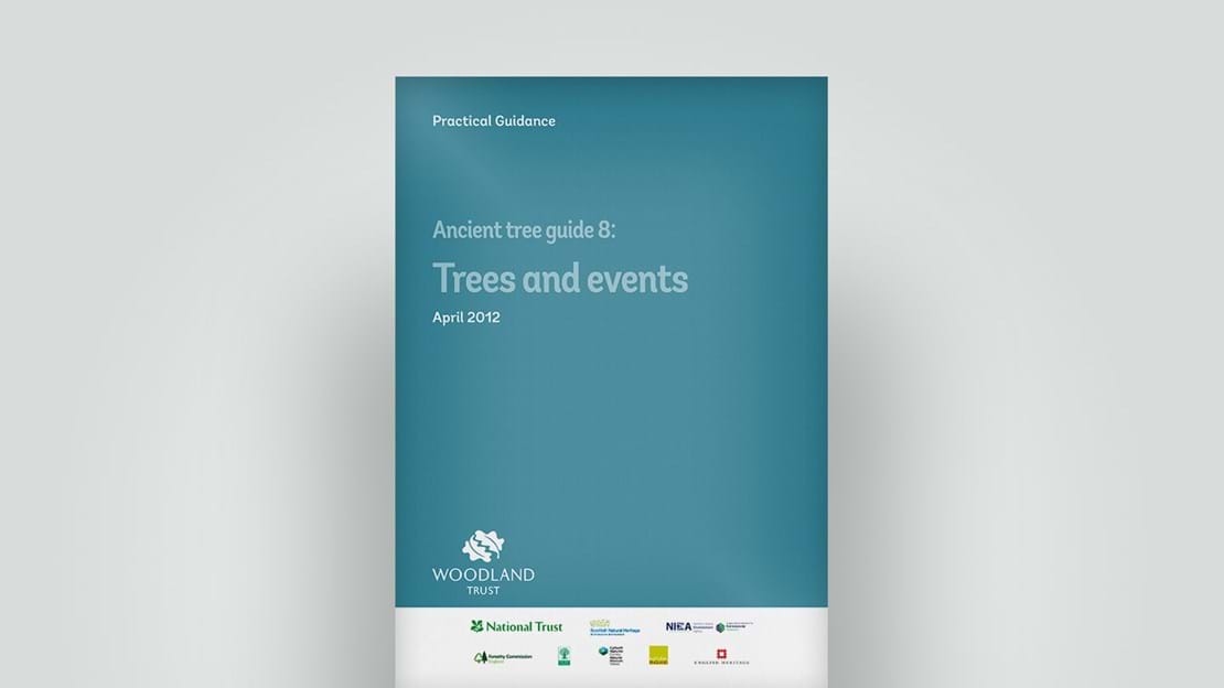 Ancient trees and events report, April 2012