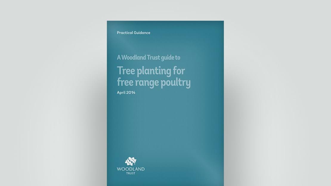 Tree planting for poultry guide, April 2014