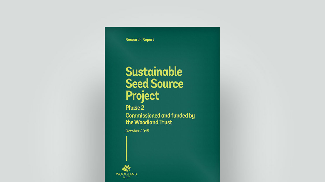 Sustainable seed project report, October 2015