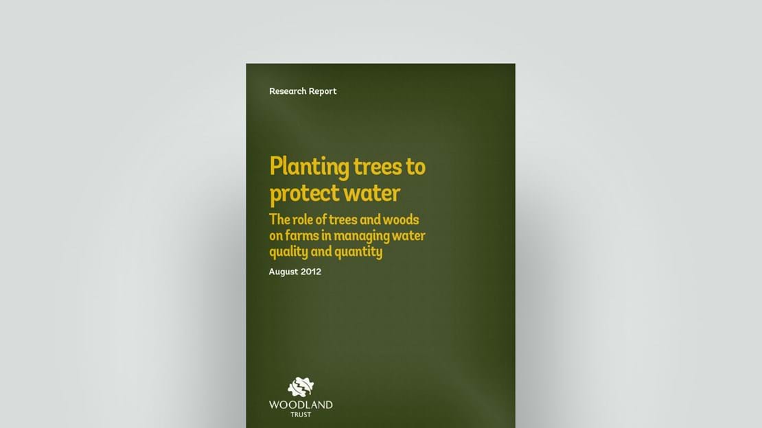 Tree planting on farms, August 2012 research report