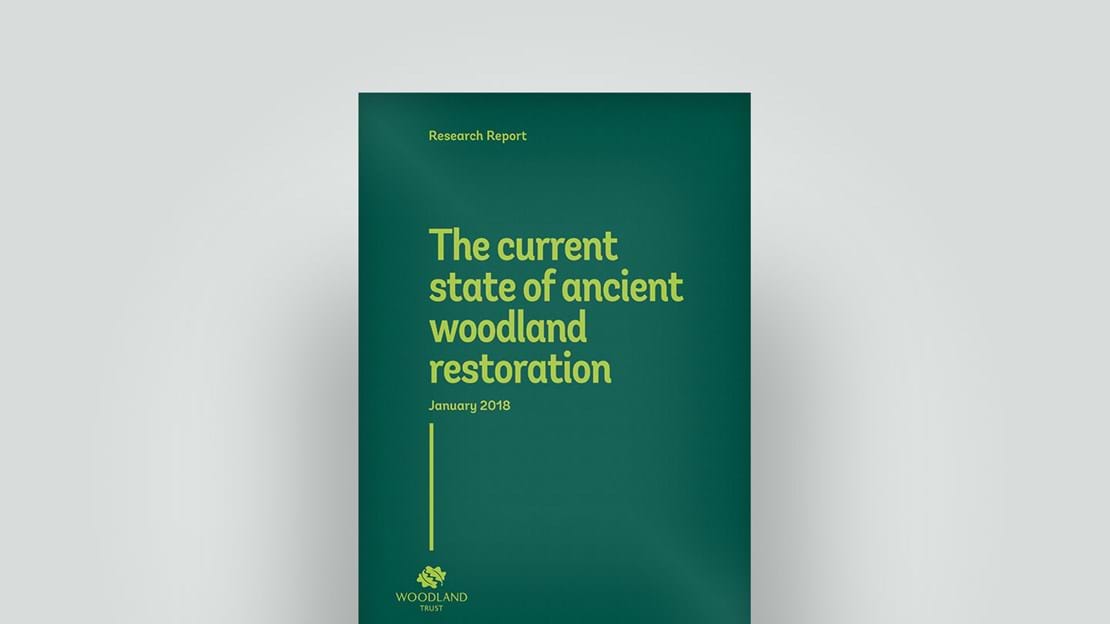 Ancient woodland restoration report, January 2018